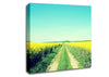 Field Road Canvas Wall Art
