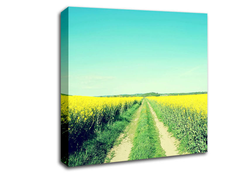 Field Road Canvas Wall Art