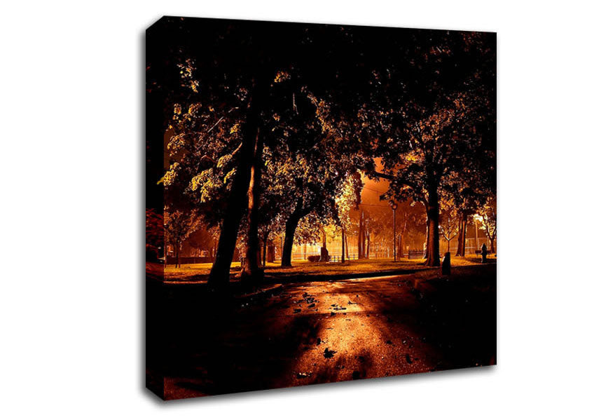 Park At Night City Canvas Wall Art