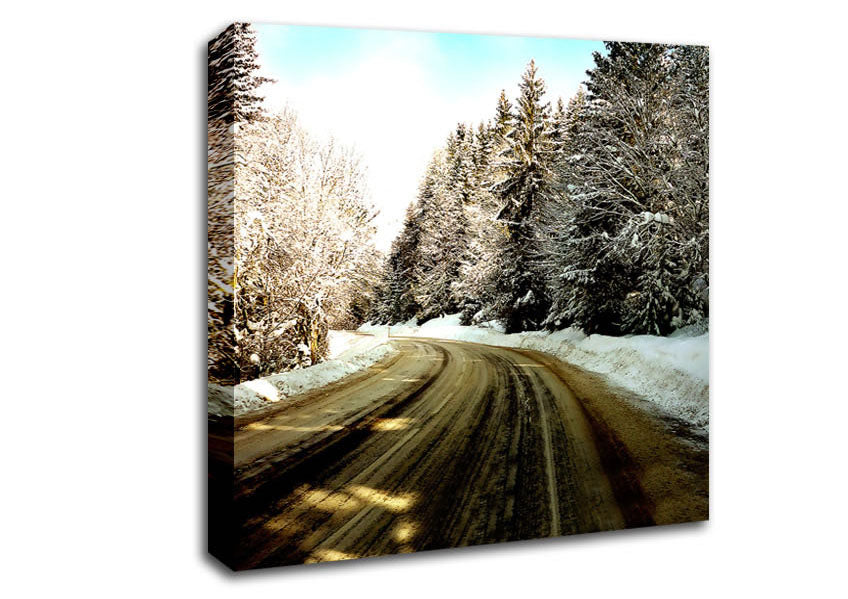 Snow Path Canvas Wall Art