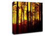 Through The Trees Canvas Wall Art