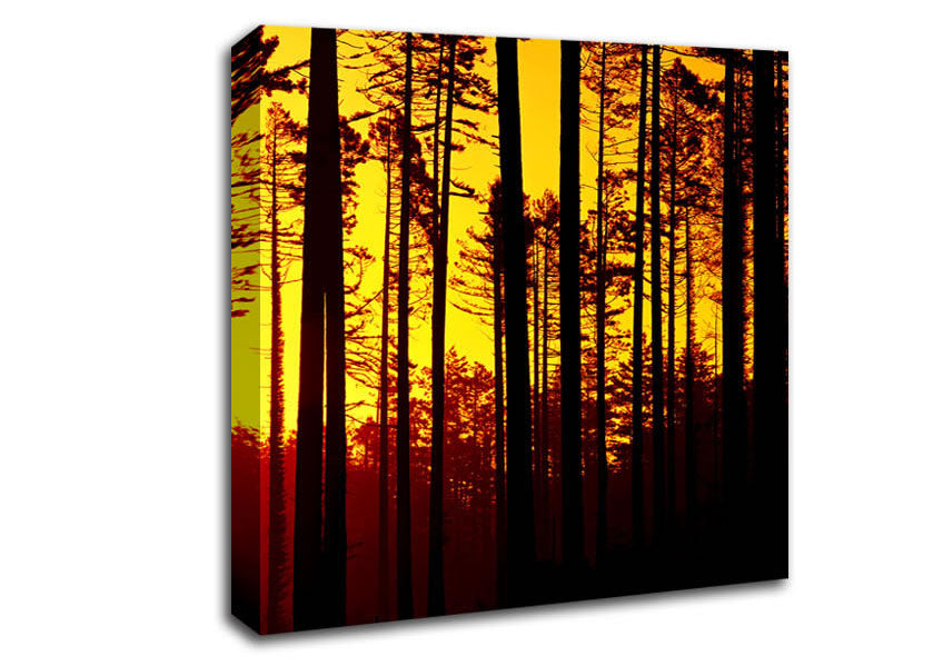 Through The Trees Canvas Wall Art