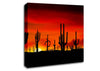 Cactus Sunset Beauty Canvas Wall Art