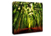 The Woodland Walk Canvas Wall Art