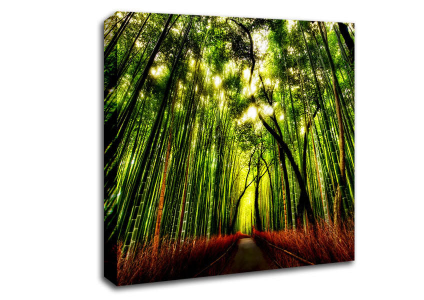 The Woodland Walk Canvas Wall Art