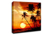 Palm Tree Paradise At Sunset Canvas Wall Art
