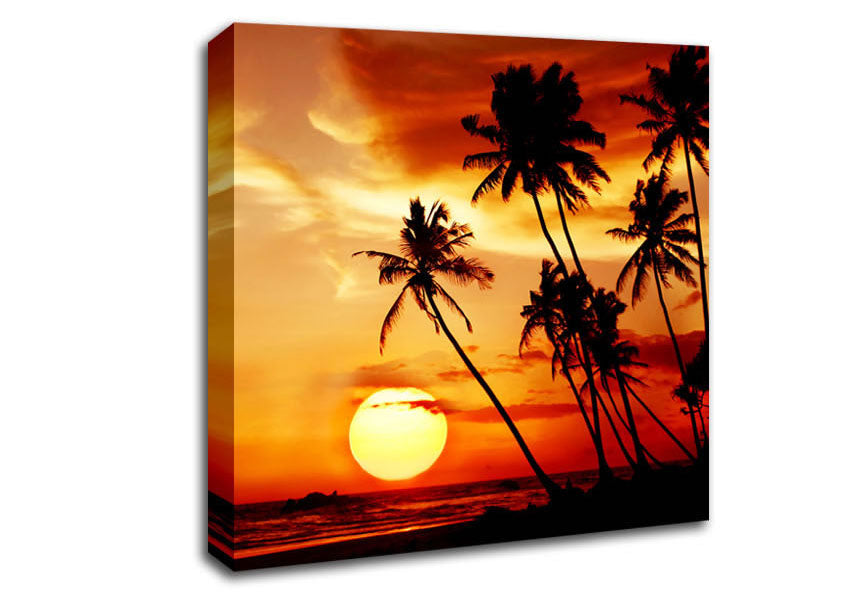 Palm Tree Paradise At Sunset Canvas Wall Art