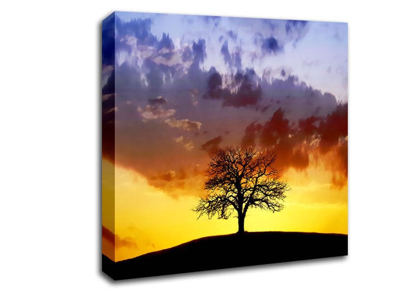 Tree In The Morning Light Canvas Wall Art