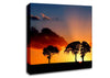 Morning Sunrise Peaking Through The Trees Canvas Wall Art