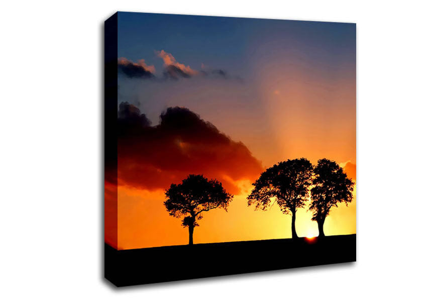 Morning Sunrise Peaking Through The Trees Canvas Wall Art