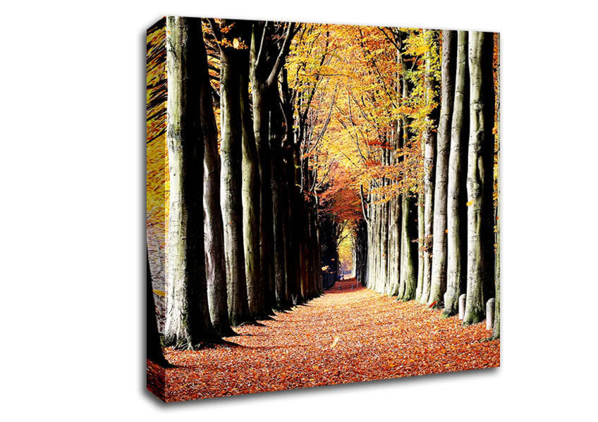 Woodland Walk Canvas Wall Art