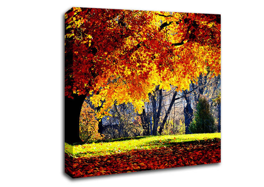 The Golden Autumn Tree Canvas Wall Art