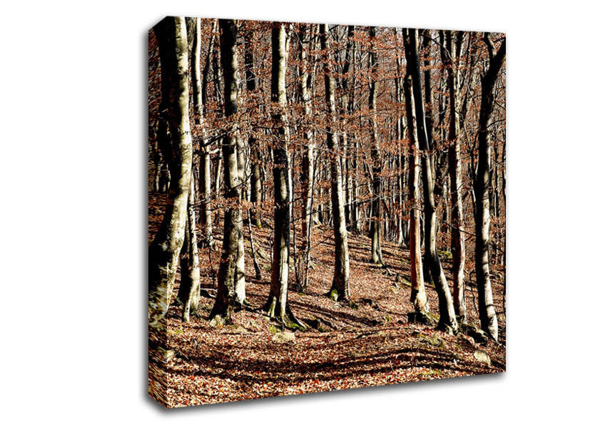 Woodland Beauty Canvas Wall Art