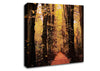 Woodland Walkway Canvas Wall Art