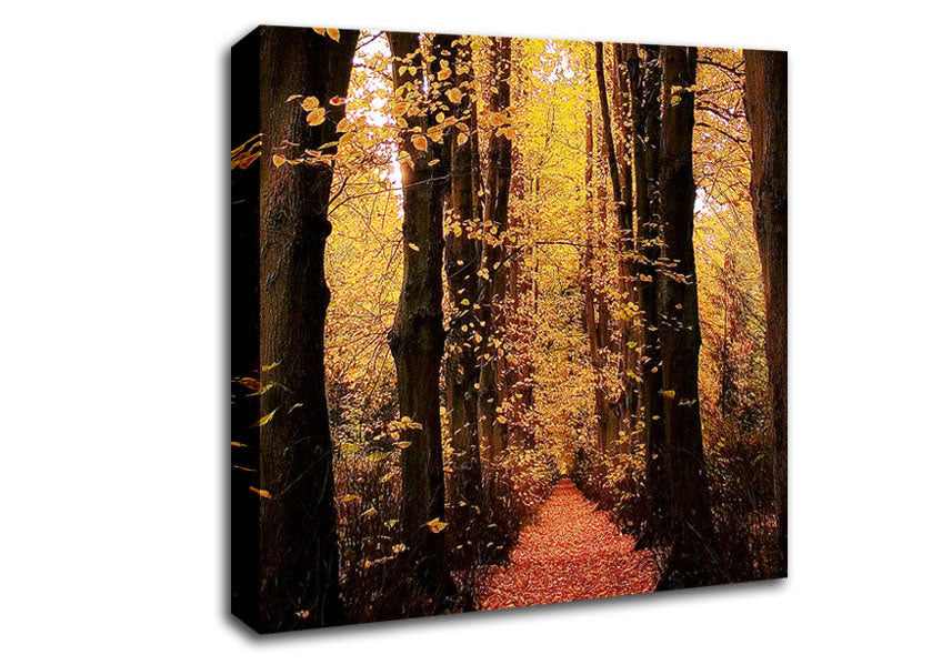 Woodland Walkway Canvas Wall Art