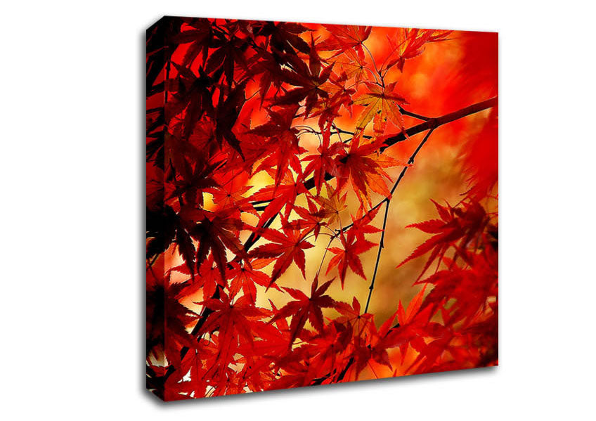 Red Leaves In Winter Canvas Wall Art