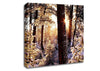 Winter Woodland Canvas Wall Art