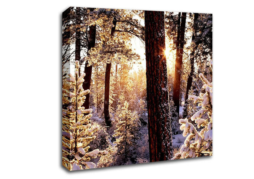 Winter Woodland Canvas Wall Art