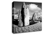 Desert Architect B n W Canvas Wall Art