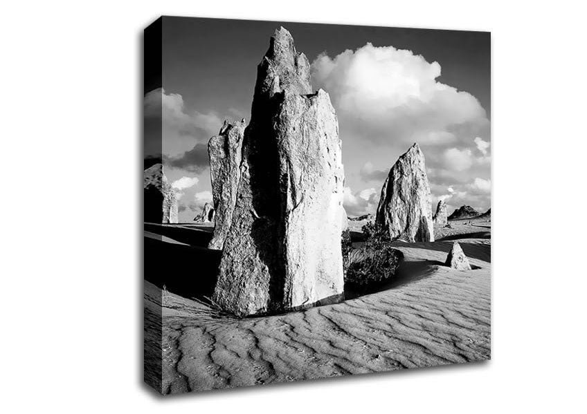 Desert Architect B n W Canvas Wall Art