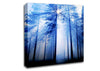 Sunlight Mist Through The Trees Canvas Wall Art