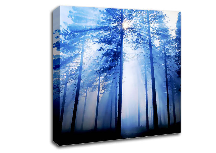 Sunlight Mist Through The Trees Canvas Wall Art