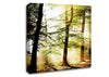 Treeline Sunbeam Canvas Wall Art