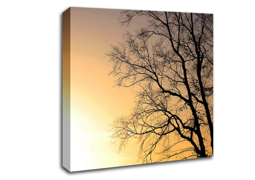 Calm Winter Sun Canvas Wall Art