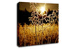 Fields Of Gold Canvas Wall Art