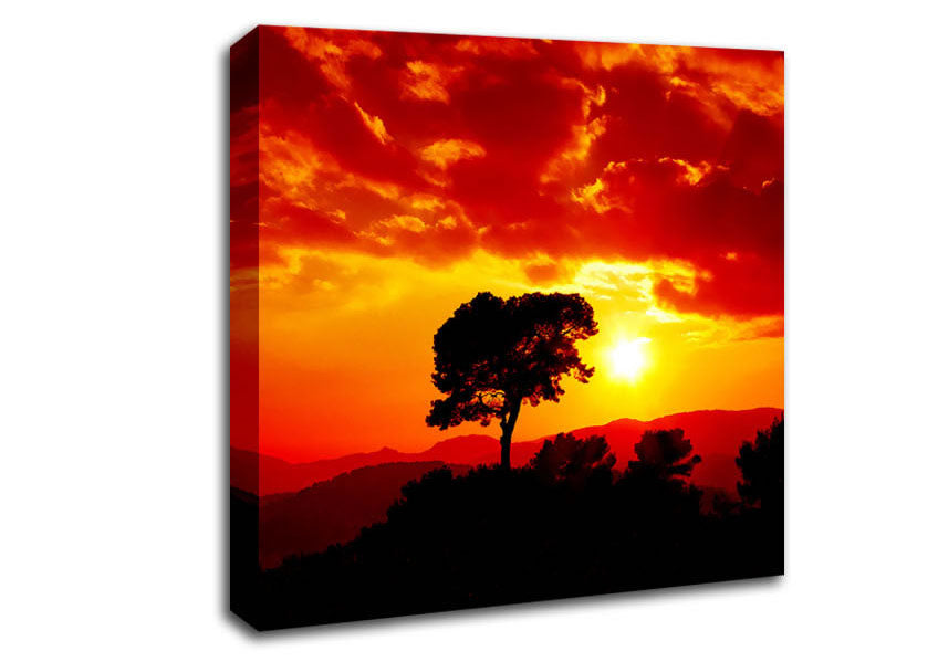 Orange Cloud Sunburst Canvas Wall Art