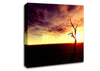 Oceans Driftwood Canvas Wall Art