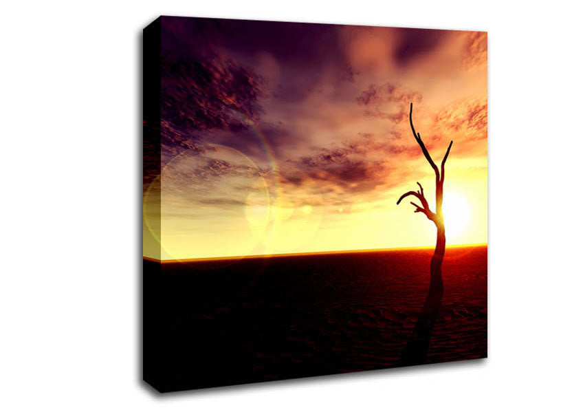 Oceans Driftwood Canvas Wall Art