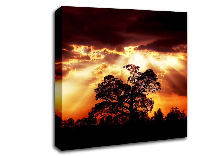 Stunning Cloud Sunrays Over The Morning Tree Canvas Wall Art