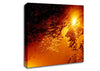 Stunning Sun Through The Leaves Canvas Wall Art