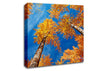 High Above The Tree Tops Canvas Wall Art