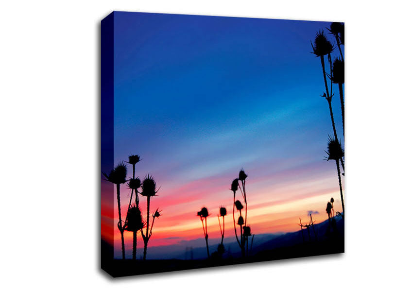 Red Winter Sky Near Dusk Canvas Wall Art
