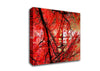 Red Autumn Trees Canvas Wall Art