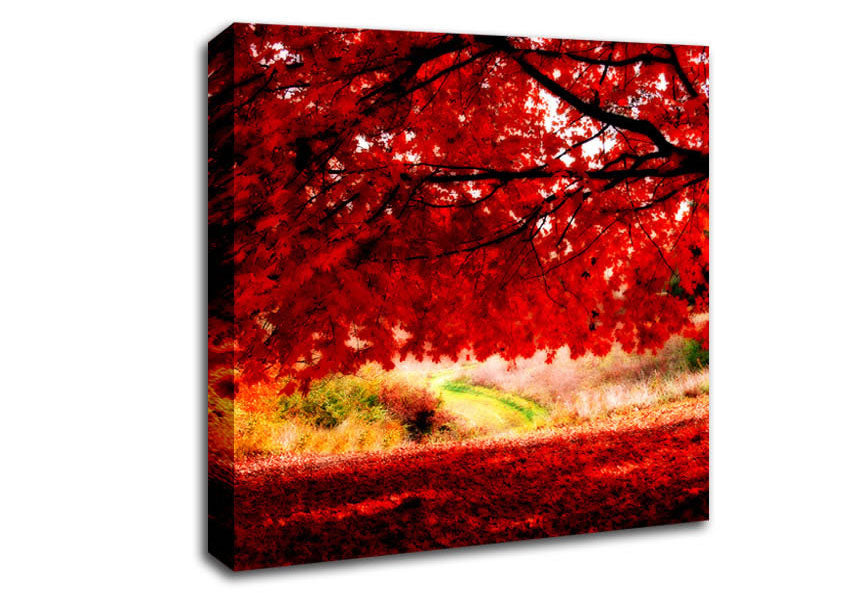 Red Autumn Tree Canvas Wall Art