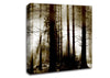 Secret Forrest Canvas Wall Art