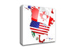North America Flag Map Canvas Wall Art