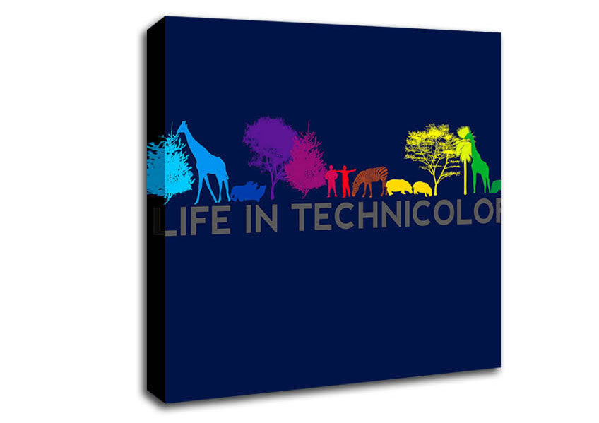 Life In Technicolor Canvas Wall Art