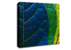 Colourful Leaves Canvas Wall Art
