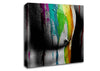 Torso Muscles Canvas Wall Art
