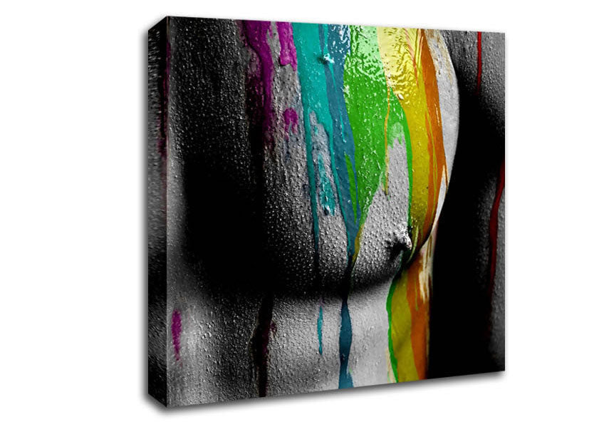 Torso Muscles Canvas Wall Art