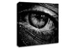 The Eye Of Knowledge Canvas Wall Art