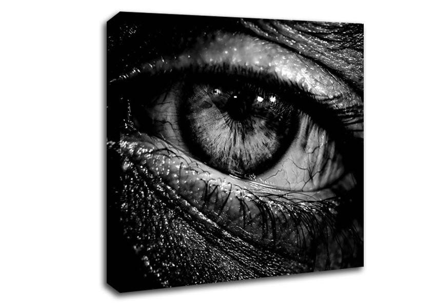The Eye Of Knowledge Canvas Wall Art