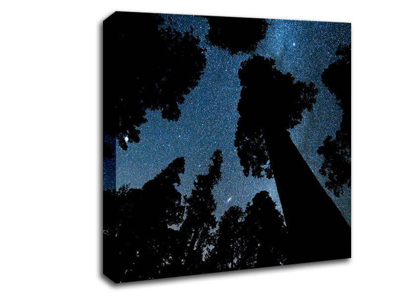 Andromeda And The Milky Way Above The Oregon Canvas Wall Art