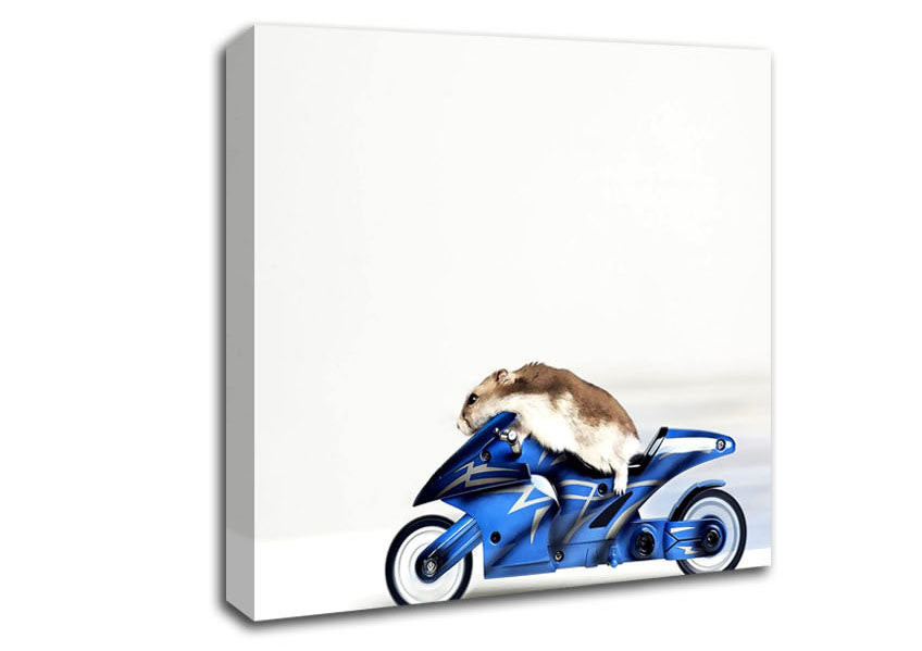 Mouse Riding Motorcycle Canvas Wall Art