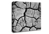 Cracked Mud Canvas Wall Art
