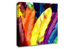Feathers In Colours Canvas Wall Art